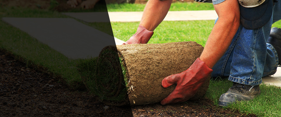 Lawrence Township Landscapers